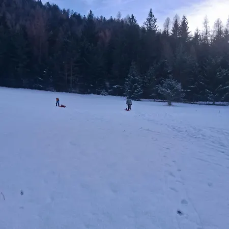 Ruheoase Sternig Appartement Bad Bleiberg